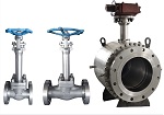 Cryogenic Valves