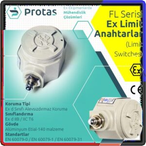 Electrical & Limit Switches